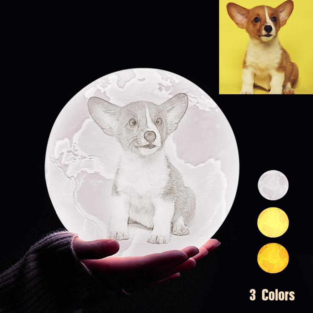 Lampe de Terre Photo & Gravée par Impression 3D Personnalisée - Pour les amoureux des animaux - Robinet 3 couleurs(10cm-20cm)