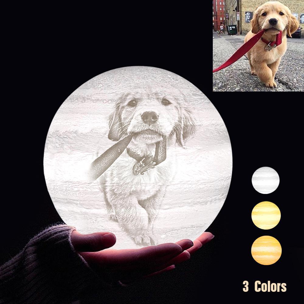Lampe Jupiter Photo & Gravée Par Impression 3D Personnalisée - Pour les amoureux des animaux - Robinet 3 couleurs(10cm-20cm)